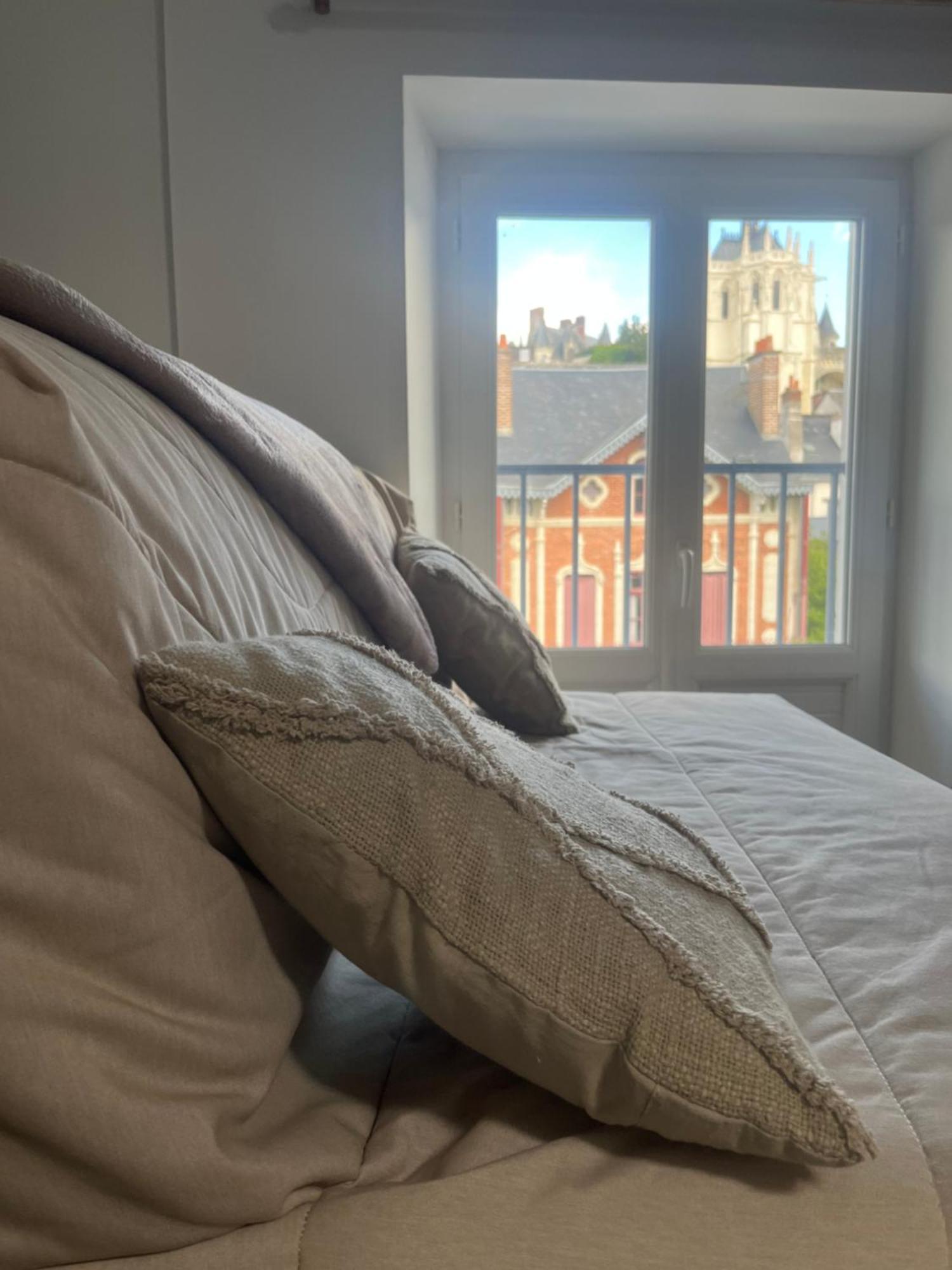 Appartement Sejour De Charme Au Boheme à Amboise Extérieur photo