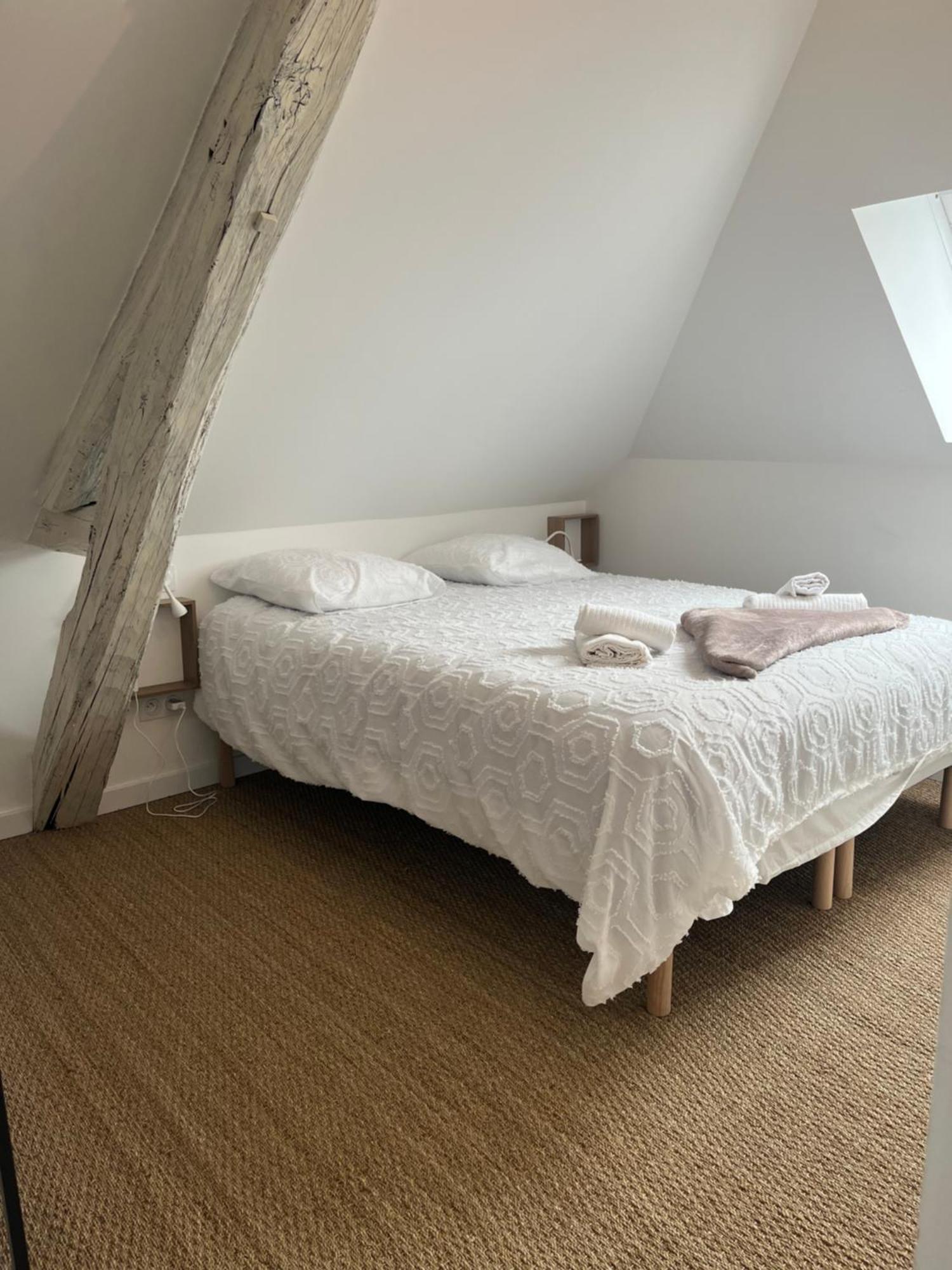 Appartement Sejour De Charme Au Boheme à Amboise Extérieur photo